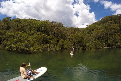Ku-ring-gai Chase National Park Stand Up Paddleboard Tour - Attractions Melbourne 5