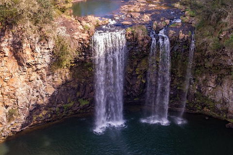 Rainforest & Waterfall Experience - Attractions Melbourne 1