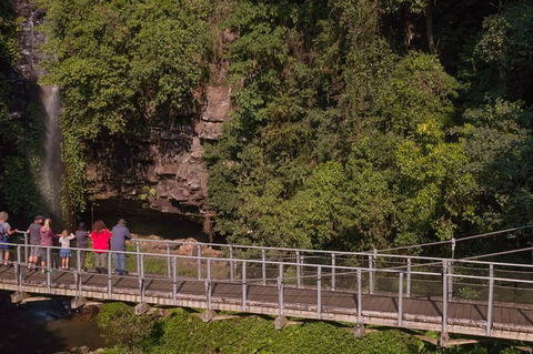 Rainforest & Waterfall Experience - Attractions Melbourne 4