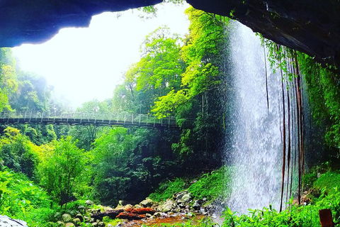 Rainforest & Waterfall Experience - Attractions Melbourne 6