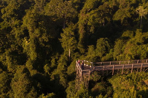 Rainforest & Waterfall Experience - Attractions Melbourne 5