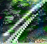 Rainforest  Waterfall Experience - Attractions Melbourne
