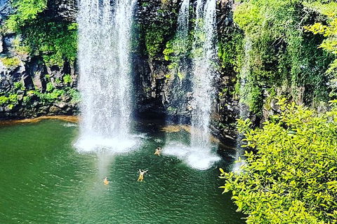 Rainforest & Waterfall Experience - Attractions Melbourne 2