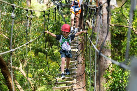 Illawarra Fly Treetop Adventures Treetop Walk Admission Ticket - Attractions Melbourne 3