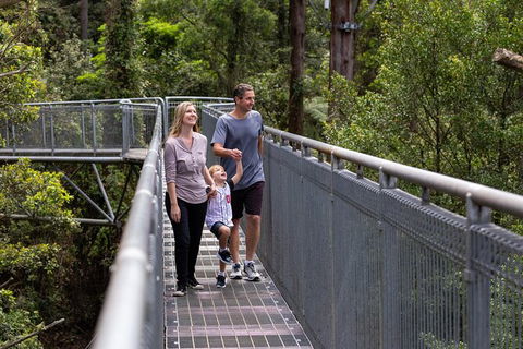 Illawarra Fly Treetop Adventures Treetop Walk Admission Ticket - Attractions Melbourne 1