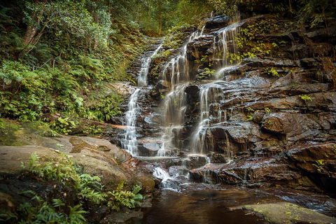 Ultimate Blue Mountains Waterfalls, Walks & Sunset PRIVATE Tour - Attractions Melbourne 10