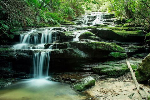 Ultimate Blue Mountains Waterfalls, Walks & Sunset PRIVATE Tour - Attractions Melbourne 2