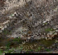 Brisbane Ranges National Park - Attractions Melbourne