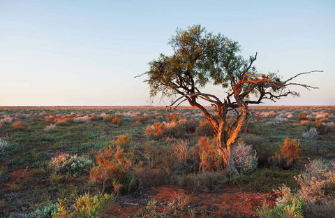 Merton Motor Trail - Attractions Melbourne 0