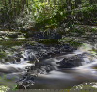 Protesters Falls Walking Track - Attractions Melbourne