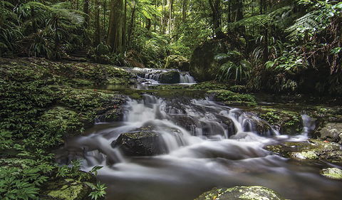 Protesters Falls Walking Track - Attractions Melbourne 0