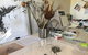 Sandra Blackburne Art Studio And Gallery - thumb 1
