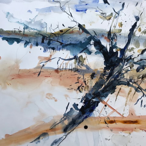 Sandra Blackburne Art Studio And Gallery - Attractions Melbourne 2