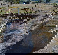 Wangaraleednie Monument  Ruins - Attractions Melbourne