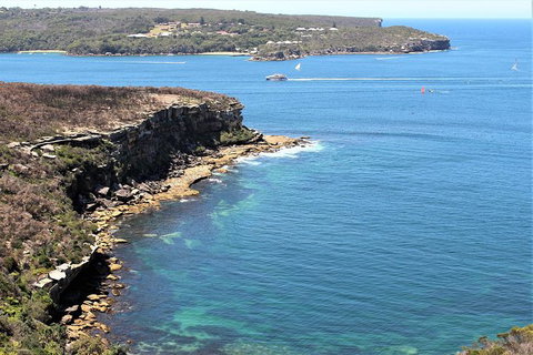 Half Day Manly Beach And More - Attractions Melbourne 9
