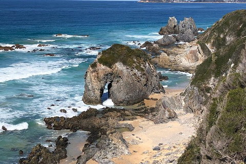 Narooma And Tilba Valley Private Tour - Attractions Melbourne 8