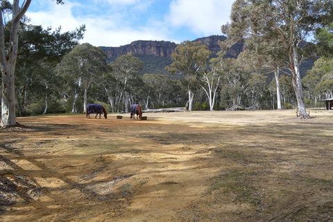 Six Foot Track - Attractions Melbourne 1