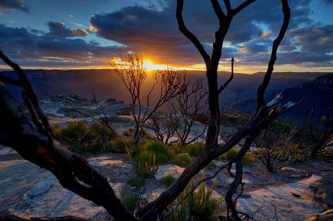 Ultimate Blue Mountains And Wildlife Tour - Attractions Melbourne 0