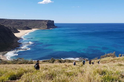 Hike Into The Royal National Park - Attractions Melbourne 0