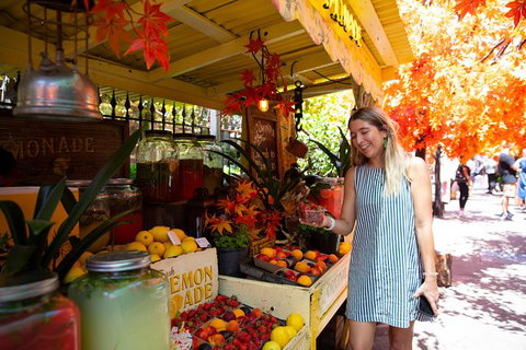 Sydney Instagram Tour - Attractions Melbourne 3