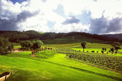 Ivanhoe Wines: Trip Advisor Wine Masterclass With Cheese Plate - Attractions Melbourne 3
