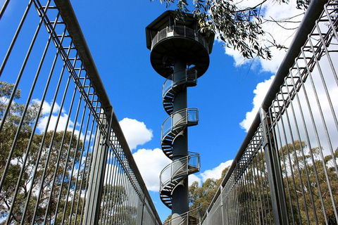Illawarra Fly Treetop Adventures Admission Including Zipline Tour - Attractions Melbourne 3