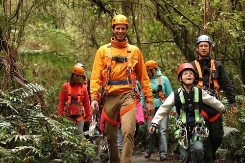 Illawarra Fly Treetop Adventures Admission Including Zipline Tour - Attractions Melbourne 1