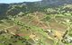 12-Minute Small-Group Hunter Valley Scenic Helicopter Flight - thumb 1
