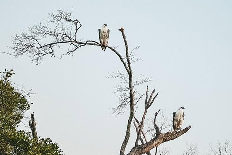 Sunset River Cruise Near Byron Bay - Attractions Melbourne 5
