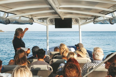 Sunset River Cruise Near Byron Bay - Attractions Melbourne 29