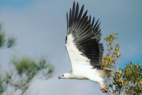 Sunset River Cruise Near Byron Bay - Attractions Melbourne 30