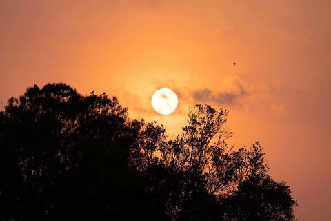 Sunset River Cruise Near Byron Bay - Attractions Melbourne 14