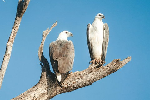 Sunset River Cruise Near Byron Bay - Attractions Melbourne 19