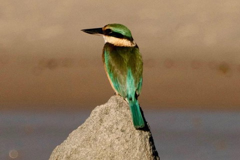 Sunset River Cruise Near Byron Bay - Attractions Melbourne 17