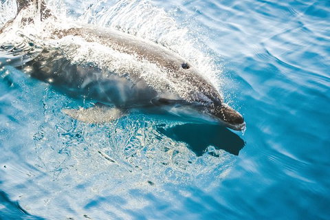 Sunset River Cruise Near Byron Bay - Attractions Melbourne 1