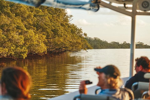 Sunset River Cruise Near Byron Bay - Attractions Melbourne 26