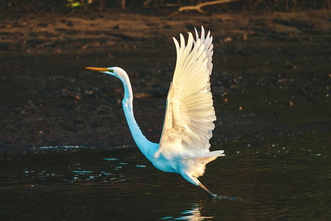 Sunset River Cruise Near Byron Bay - Attractions Melbourne 34