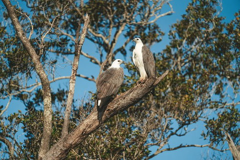 Sunset River Cruise Near Byron Bay - Attractions Melbourne 9