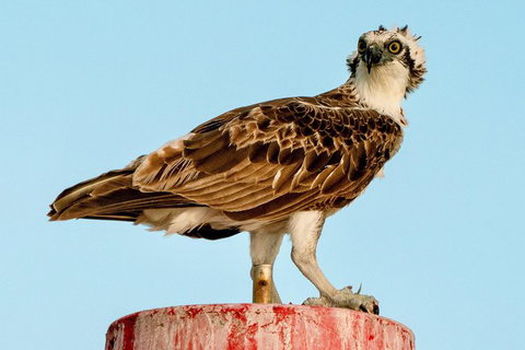 Sunset River Cruise Near Byron Bay - Attractions Melbourne 8