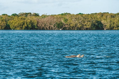 Sunset River Cruise Near Byron Bay - Attractions Melbourne 2