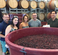Hunter Valley Small Group Wine Gin Cheese  Chocolate Tour - Attractions Melbourne