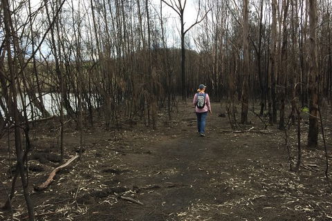 Fishermans Paradise Eco-walk - Attractions Melbourne 5