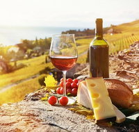 Six hour - plan your own wine and cheese tour Hunter Valley - Attractions Melbourne