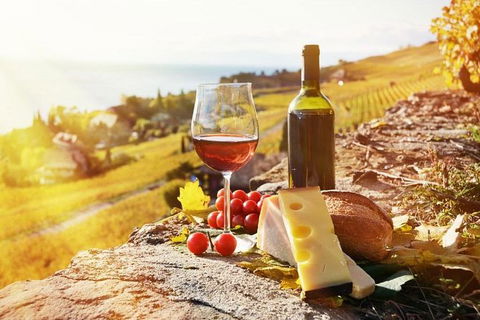 Six Hour - Plan Your Own Wine And Cheese Tour Hunter Valley - Attractions Melbourne 0