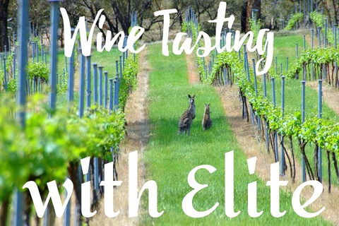 Six Hour - Plan Your Own Wine And Cheese Tour Hunter Valley - Attractions Melbourne 7