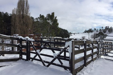 Paddock To Plate Farm Tour And Tasting - Attractions Melbourne 11