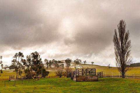 Paddock To Plate Farm Tour And Tasting - Attractions Melbourne 0