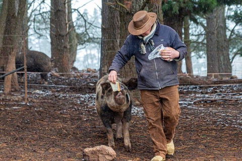 Paddock To Plate Farm Tour And Tasting - Attractions Melbourne 5