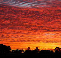 Private Full-Day Wine Tour in Hunter Valley - Attractions Melbourne