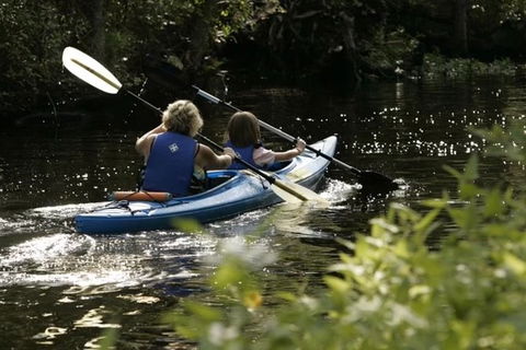 Small-Group Kayaking Experience In Sydney - Attractions Melbourne 1